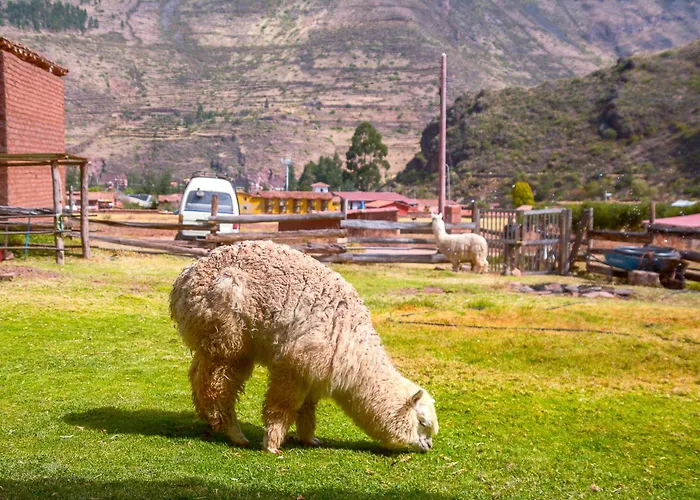 Manchitas Wasi Homestay Pisac